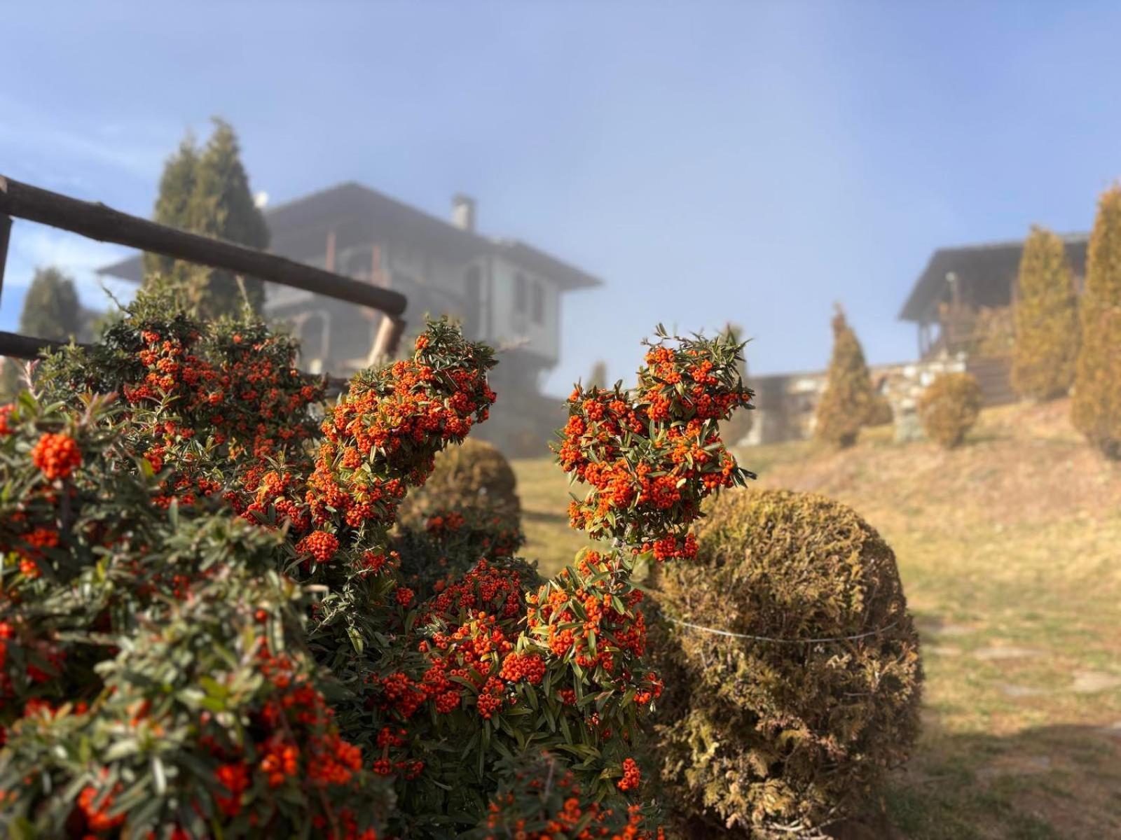 Панорама Хаус Лещен И Еко Къщи Дървена И Землянка Exterior foto